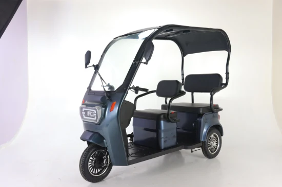 Dreirad, motorisiertes Lasten-Elektrofahrrad, dreirädriges Elektrofahrrad für Erwachsene