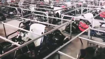 Günstige Heißer Verkauf Erwachsene Erwachsene 1 Sitz Pedal Go Kart Karting Zhejiang Passion Import Racing Go Ka