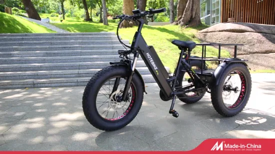 Bestes Elektrofahrrad E-Bike Elektrisches Dirtbike 500W 250W 350W 500W Hinterradnabenmotor Dirtbike Dreirädriges Elektro-Dreirad