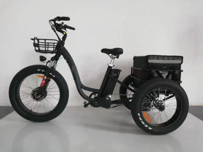 Die Fabrik liefert ein dreirädriges 500-W-Elektrofahrrad, ein Shimano 7-Gang-Elektrodreirad für Erwachsene mit fetten Reifen